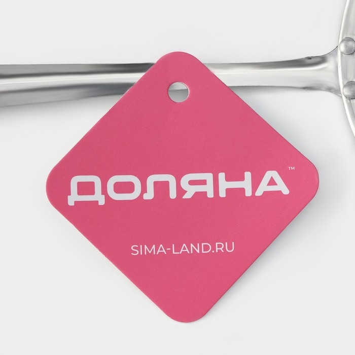 Сито для снятия пены из нержавеющей стали Доляна &laquo;Металлик&raquo;, 26&times;10 см