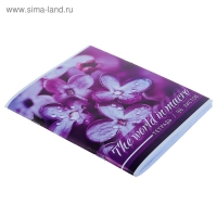 Тетрадь 96 листов в клетку Calligrata "Макро", обложка мелованный картон, блок офсет, МИКС