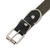 Ошейник брезентовый безразмерный однослойный, 52 х 2 см, ОШ 23-46 см, хаки Ошейник брезентовый безразмерный однослойный, 52 х 2 см, ОШ 23-46 см, хаки