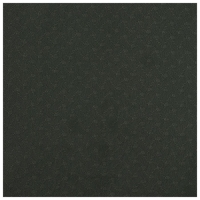 Коврик для йоги Sangh, 183×61×0,8 см, цвет тёмно-зелёный Коврик для йоги Sangh, 183×61×0,8 см, цвет тёмно-зелёный