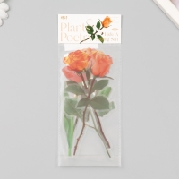 Наклейки пластик "Цветы и цитаты. Желто-оранжевые" набор 12 шт 8,5х21,5х0,2 см