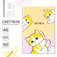 Скетчбук в мягкой обложке А5, 100 л. Бумага 100гр &laquo;Котики&raquo;