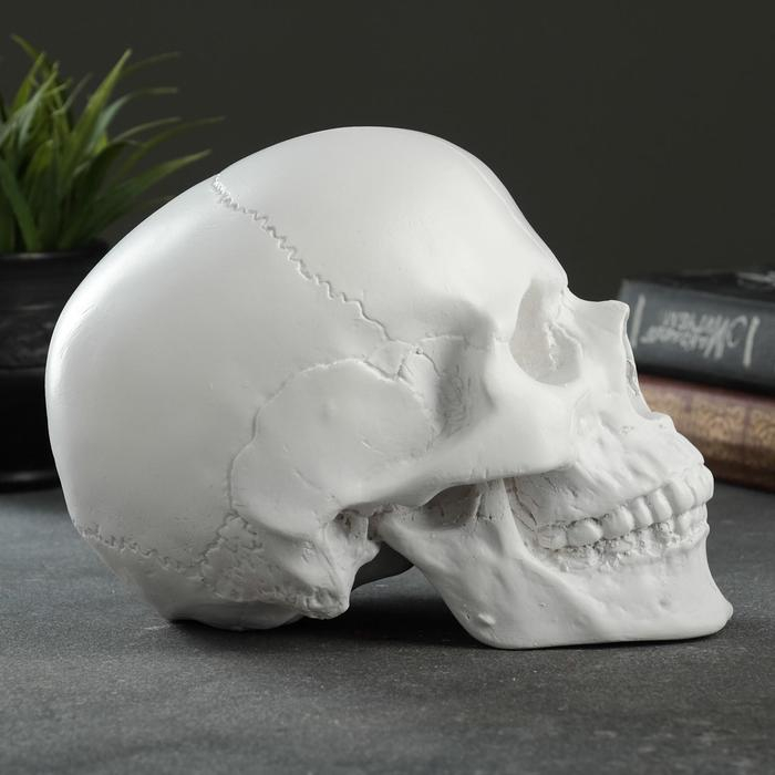 Копилка Копилка "Череп" белый, 16х13х22см