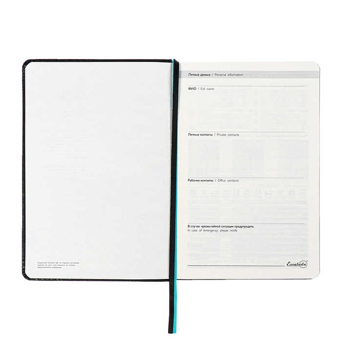 Ежедневник недатированный ESCALADA А5, 160 листов, твердая обложка, искуственная кожа, блок, тиснение, блок 70г/м2, чёрный