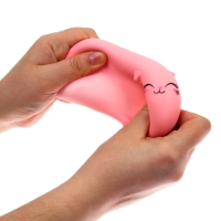 Антистресс сквиш мялка «Кот» ,с пастой, в пакете Антистресс сквиш мялка «Кот» ,с пастой, в пакете