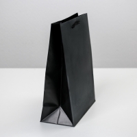 Пакет подарочный ламинированный, упаковка, &laquo;Чёрный&raquo;, MS 18 х 23 х 8 см