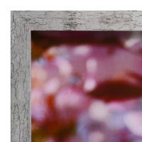 Картина "Лебединая пара" 66х106см рамка микс