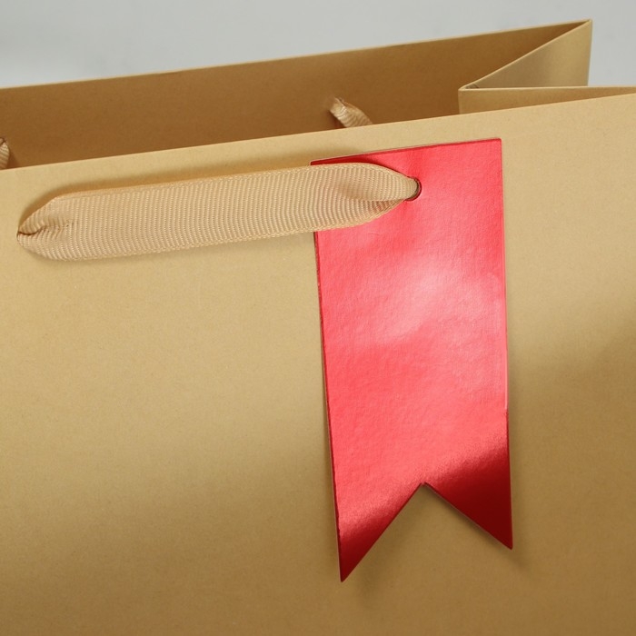 Пакет подарочный, упаковка, &laquo;Подарок&raquo;, ML 23 х 27 х 11.5 см