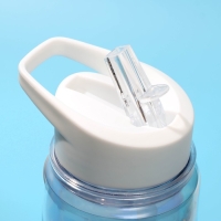 Бутылка для воды &laquo;100%&raquo;, 550 мл 5237588