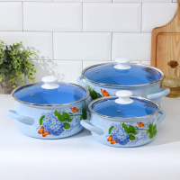 Набор эмалированных кастрюль &laquo;Гортензия&raquo;, 3 предмета: 2 л, 3 л, 4 л, индукция