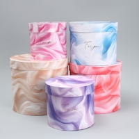 Набор шляпных коробок 5 в 1, упаковка подарочная, &laquo;Вуаль&raquo;, 13 х 14 ‒ 19.5 х 22 см