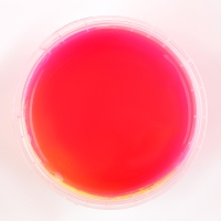 Слайм &laquo;Зефирка&raquo;, цвет жёлтый и маджента, 100 г