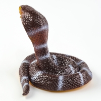 Новый год! Резиновая игрушка «Королевская кобра» Новый год! Резиновая игрушка «Королевская кобра»