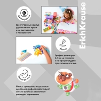 Карандаши 12 цветов ErichKrause Basic, дерево, шестигранные, 2.6 мм грифель, картонная упаковка, европодвес Карандаши 12 цветов ErichKrause Basic, дерево, шестигранные, 2.6 мм грифель, картонная упаковка, европодвес