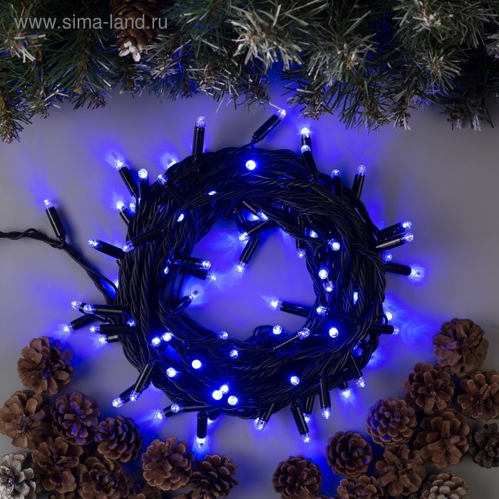 Гирлянда «Нить» 10 м, IP65, УМС, тёмная нить, 100 LED, свечение синее, мерцание белым, 220 В Гирлянда «Нить» 10 м, IP65, УМС, тёмная нить, 100 LED, свечение синее, мерцание белым, 220 В