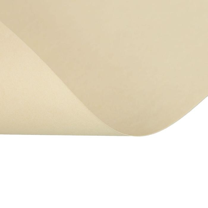 Бумага цветная А4, 100 листов Calligrata Пастель, оранжевая, 80 г/м² Бумага цветная А4, 100 листов Calligrata Пастель, оранжевая, 80 г/м²