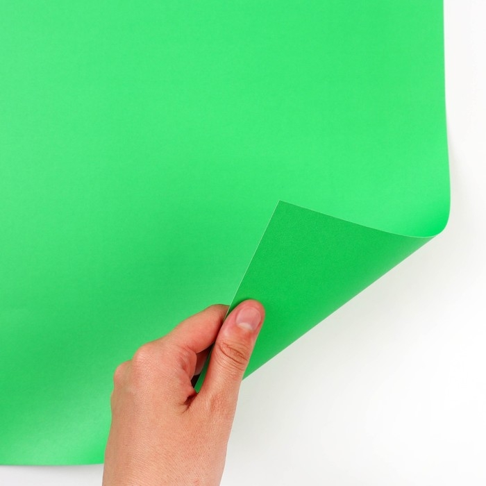 Картон цветной тонированный, А3, 50 листов, 10 цветов, немелованный, двусторонний, в пакете, 140 г/м&sup2;, Смешарики