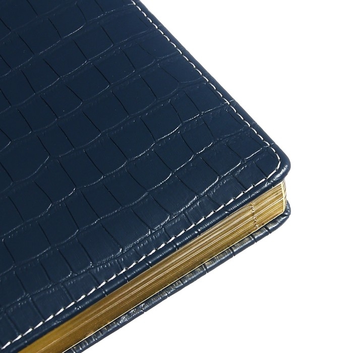 Ежедневник датированный 2024 A5 176 листов, deVENTE.Wild, твёрдая обложка из искусственной кожи, золотой срез, ляссе, кремовый блок 70 г/м2, синий