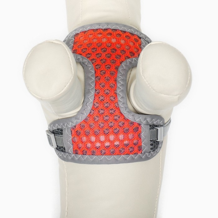 Комплект амуниции с мягкой дышащей шлейкой и круглым поводком 120 х 1 см, красный