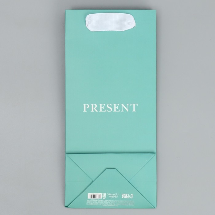 Пакет подарочный ламинированный, упаковка, &laquo;Подарок&raquo;, 10 х 22 х 6 см