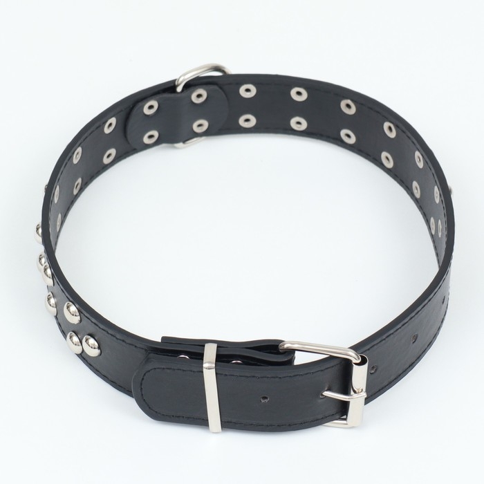Ошейник клёпаный в 2 ряда, 65 х 3,4 см, ОШ 50-60 см, чёрный