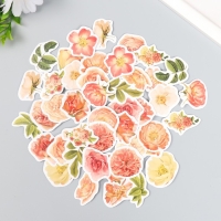 Наклейки для творчества "Пионы" набор 46 шт 4,4х4,4х1,1 см