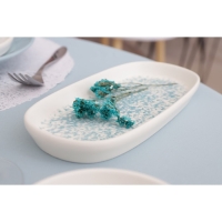 Блюдо сервировочное фарфоровое Magistro &laquo;Лунный океан&raquo; 21,5&times;10&times;2,2 см