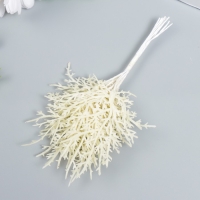 Искусственное растение для творчества "Можжевельник" 1 букет=10 веточек белый 15 см Искусственное растение для творчества "Можжевельник" 1 букет=10 веточек белый 15 см