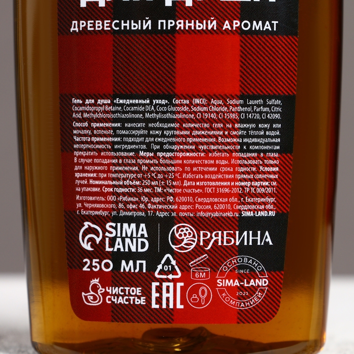 Подарочный набор косметики &laquo;Настоящему мужчине в Новый Год&raquo;, гель для душа и шампунь для волос, 2 х 250 мл, ЧИСТОЕ СЧАСТЬЕ