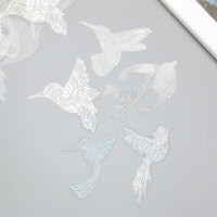 Наклейки для творчества "Голография. Птички" d=10 см набор 10 шт 0,2х14х11 см Наклейки для творчества "Голография. Птички" d=10 см набор 10 шт 0,2х14х11 см