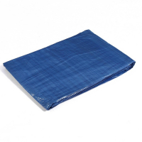 Тент защитный, 5 × 4 м, плотность 60 г/м², УФ, люверсы шаг 1 м, голубой Тент защитный, 5 × 4 м, плотность 60 г/м², УФ, люверсы шаг 1 м, голубой