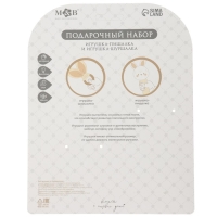 Подарочный набор новогодний: игрушка - пищалка и иигрушка - шуршалка «Зайка», цвет бежевый Подарочный набор новогодний: игрушка - пищалка и иигрушка - шуршалка «Зайка», цвет бежевый