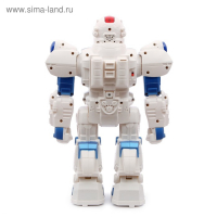 Робот радиоуправляемый &laquo;Шунтик&raquo;, голосовое управление, световые, звуковые эффекты, русское озвучивание