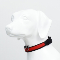 Ошейник с подсветкой Flash 3 режима свечения, размер XL, ОШ 52-60 х 2,5 см, красный