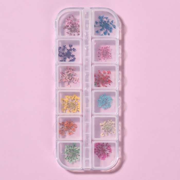 Сухоцветы для декора ногтей, 12 видов, в футляре, цвет разноцветный Сухоцветы для декора ногтей, 12 видов, в футляре, цвет разноцветный