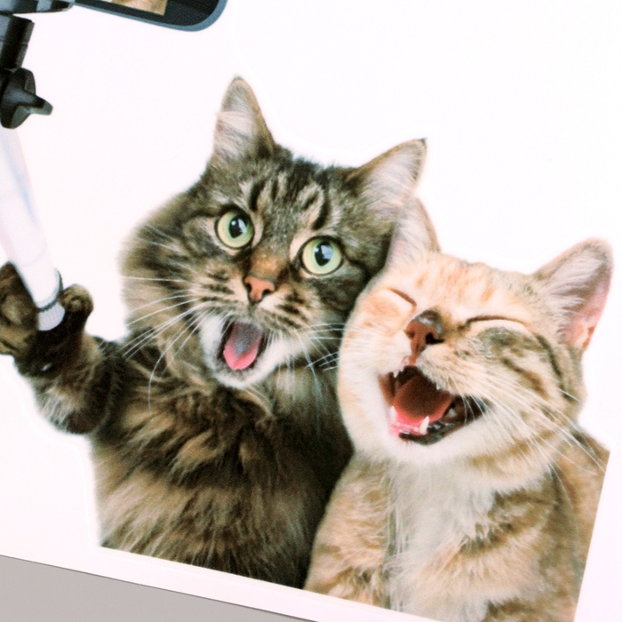 Наклейка 3Д интерьерная Котики 30*30см Наклейка 3Д интерьерная Котики 30*30см