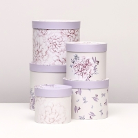 Набор шляпных коробок 5 в 1 "Астры" сиреневый, 22 х 19,5 , 14 х 13 см Набор шляпных коробок 5 в 1 "Астры" сиреневый, 22 х 19,5 , 14 х 13 см