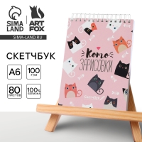 Скетчбук «Котозарисовки» А6, 80 л, 100 г/м Скетчбук «Котозарисовки» А6, 80 л, 100 г/м