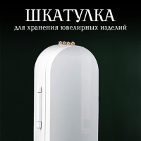 Шкатулка для хранения ювелирных изделий (белая) Шкатулка для хранения ювелирных изделий (белая)