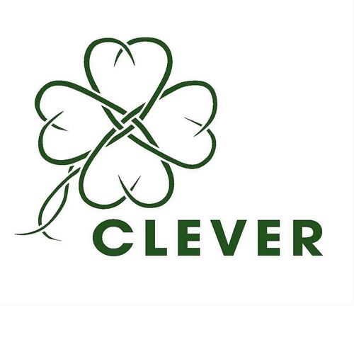 Бренд Клевер