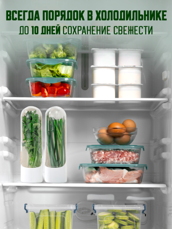 Контейнер для свежей зелени в холодильник с водой