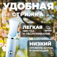 Набор для груминга VGR V-205 3 в 1 Набор для груминга VGR V-205 3 в 1