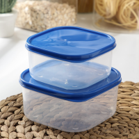 Набор контейнеров пищевых Доляна, квадратных, 2 шт: 450 мл, 700 мл, цвет голубой