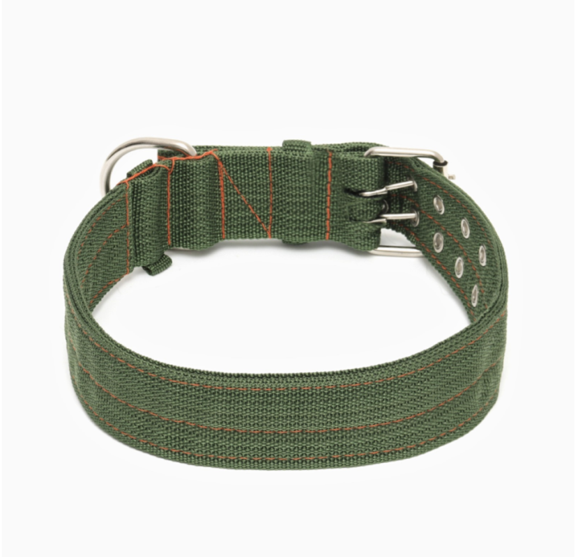 Ошейник четырехслойный, 80 х 4,9 см, ОШ 65-75 см, полиэстер, зелёный