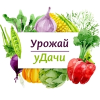 УРОЖАЙ УДАЧИ