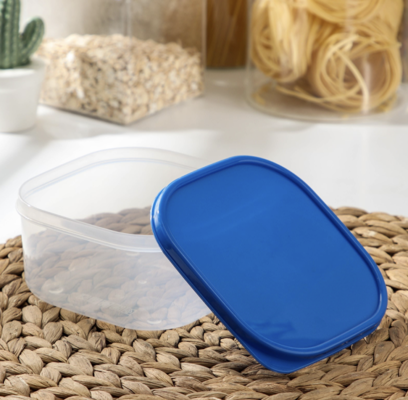 Набор контейнеров пищевых Доляна, квадратных, 2 шт: 450 мл, 700 мл, цвет голубой Набор контейнеров пищевых Доляна, квадратных, 2 шт: 450 мл, 700 мл, цвет голубой