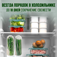 Контейнер для свежей зелени в холодильник с водой