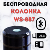 Портативная колонка WS-887