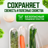 Контейнер для свежей зелени в холодильник с водой