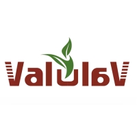 ValuLav